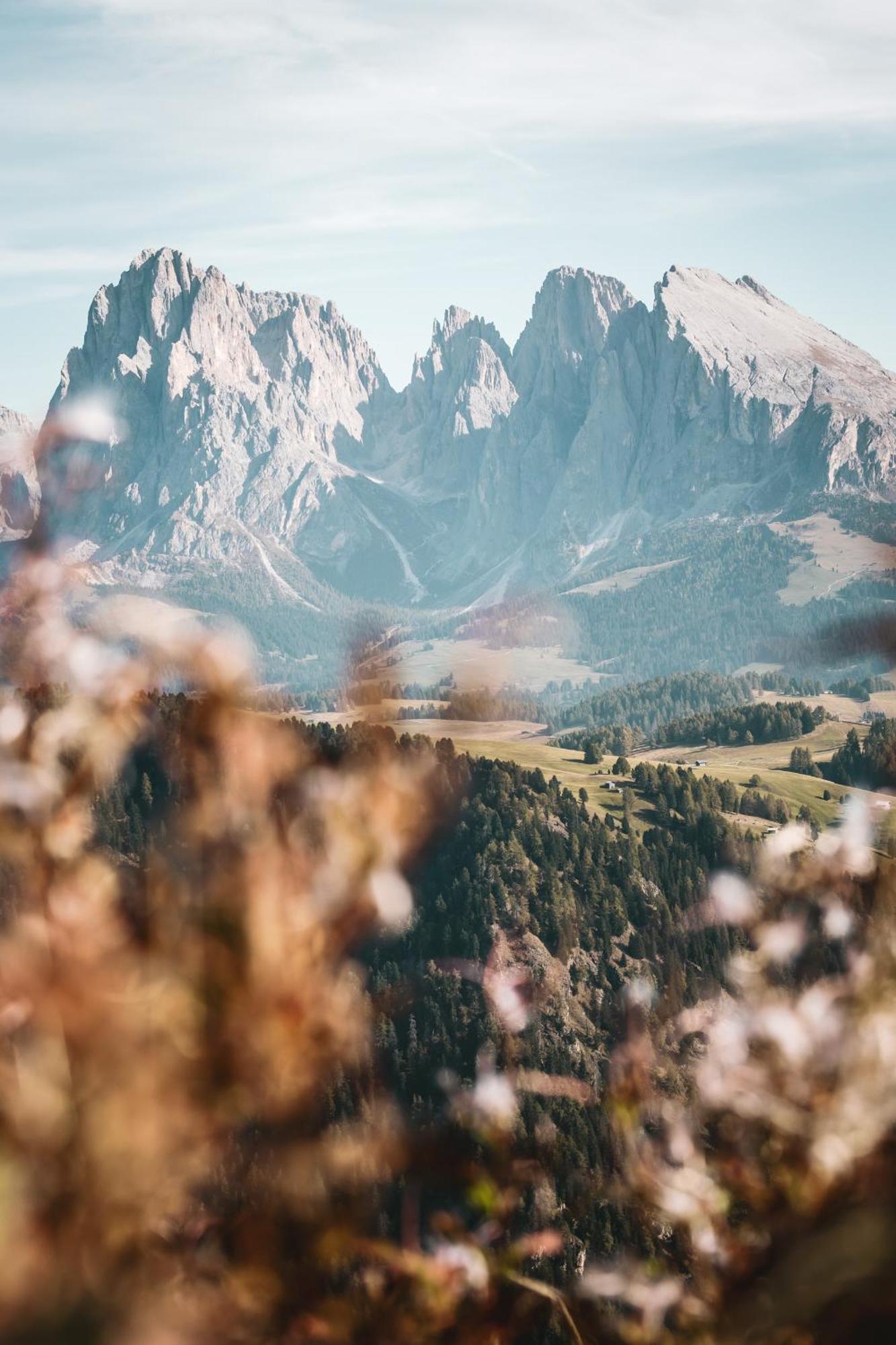 Dorfhotel Beludei Santa Cristina Val Gardena Eksteriør bilde